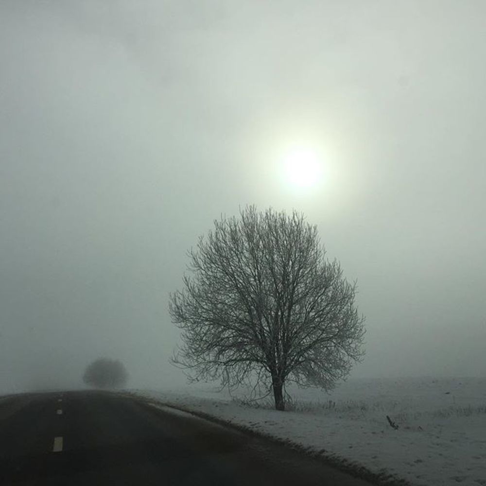 Photograph by игорь
