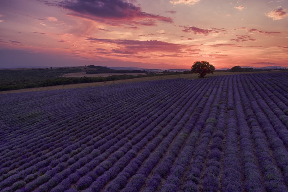 Фотография автора Ivan Atanasov