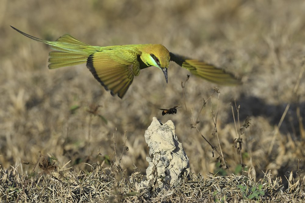 Photograph by Tran Hoang Phong