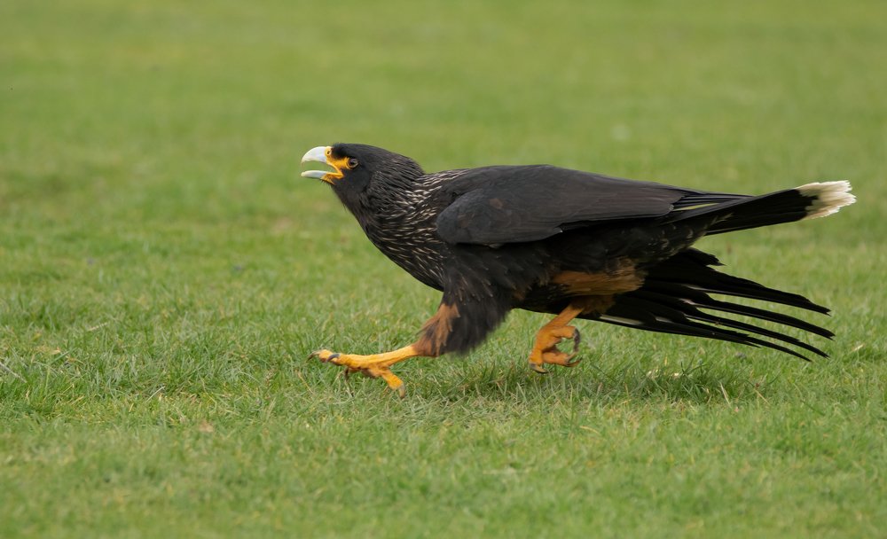 Фотография автора MARIA KULA