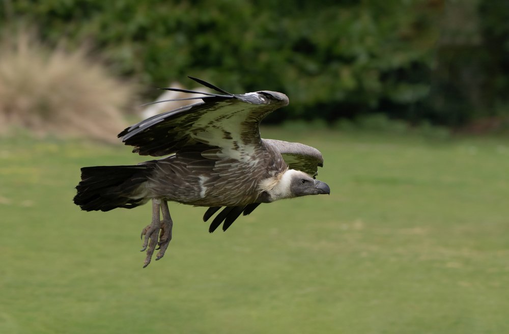 Фотография автора MARIA KULA