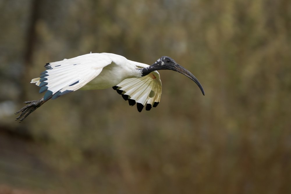 Фотография автора MARIA KULA