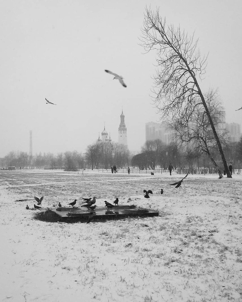 Photograph by Наталья Кузнецова