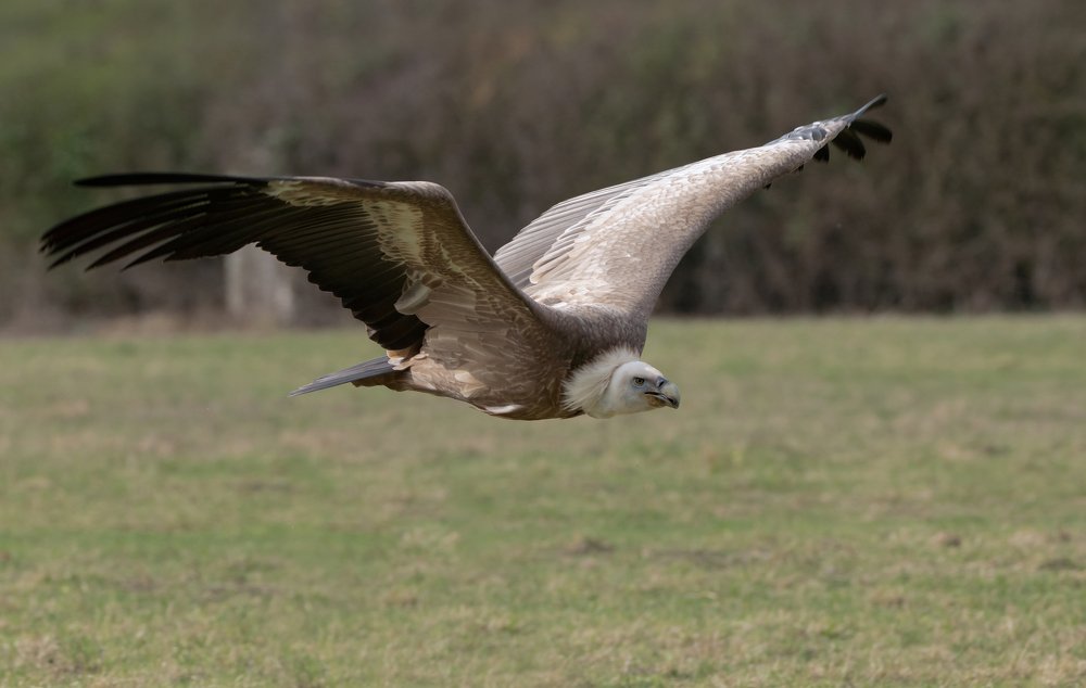 Фотография автора MARIA KULA