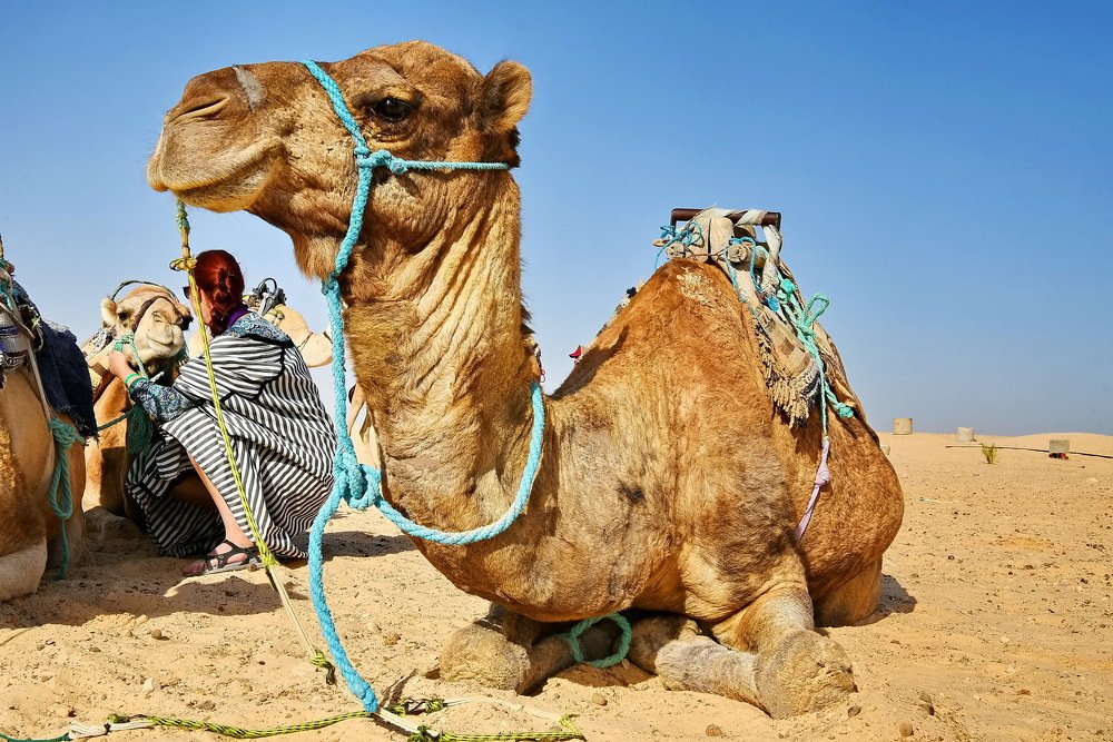 Photograph by Юрий Платухин