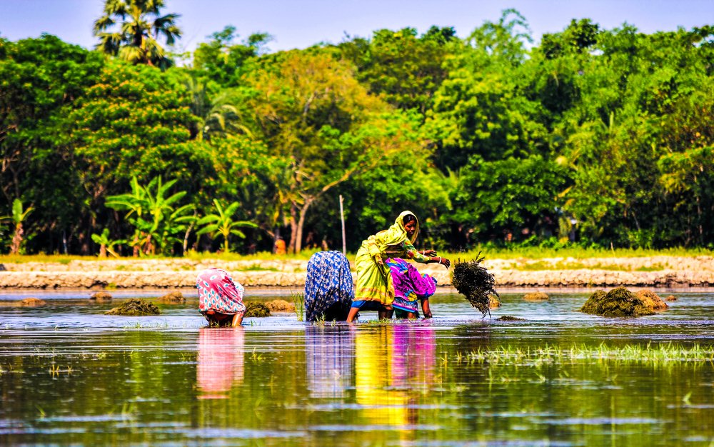 Women insearch of livelihood.