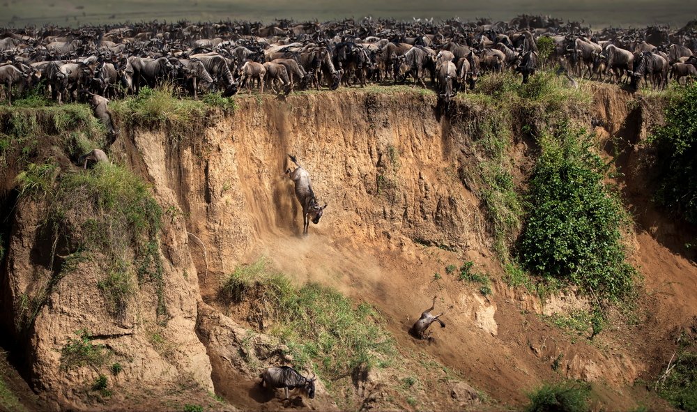 Перейти реку любой ценой