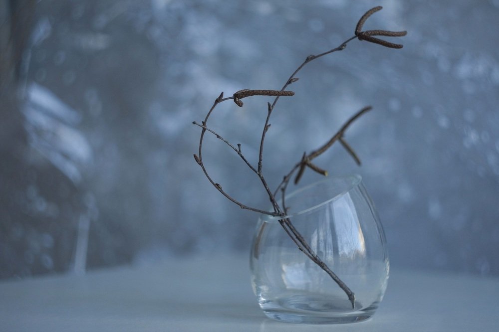 Photograph by Дмитрий Сырбу