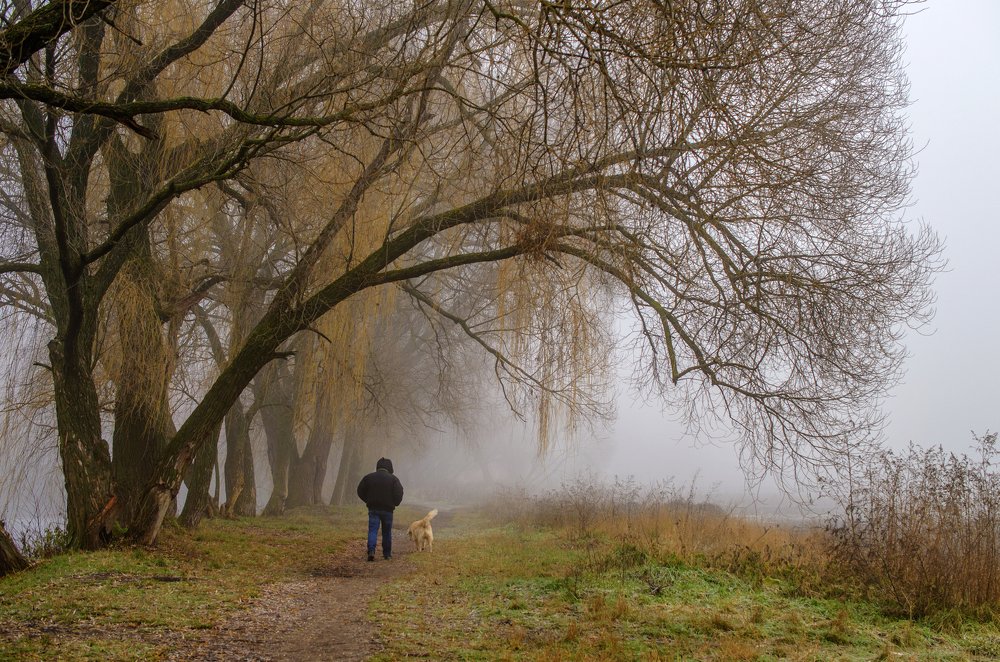 Утренняя прогулка с другом