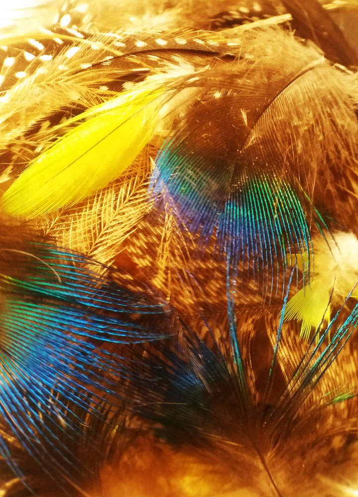 Фотография автора Ася Бабушкина