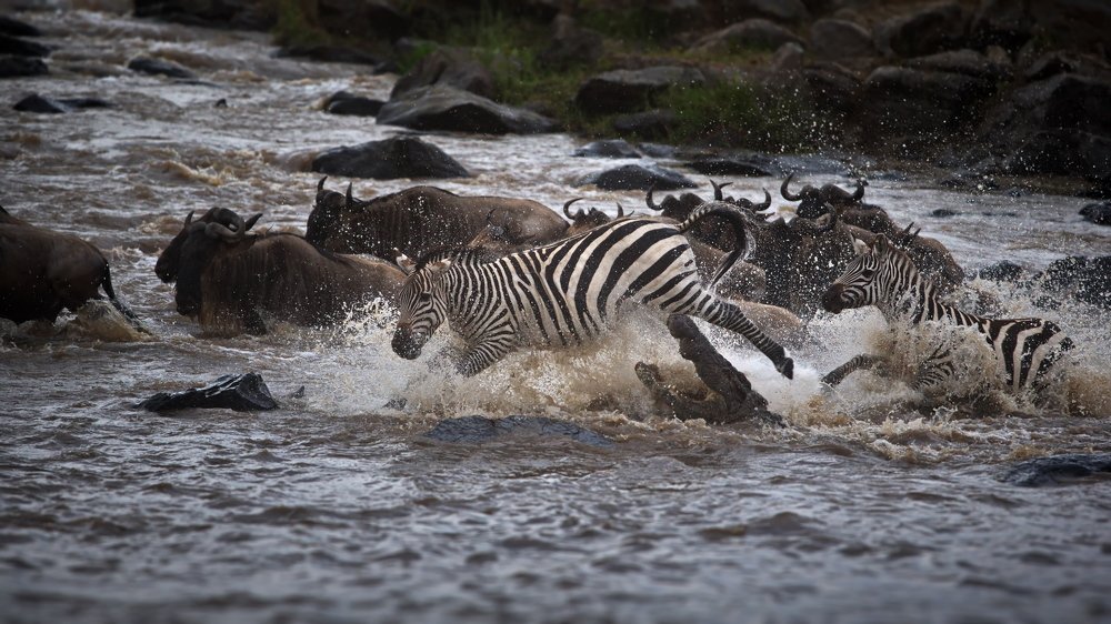 Есть только миг...