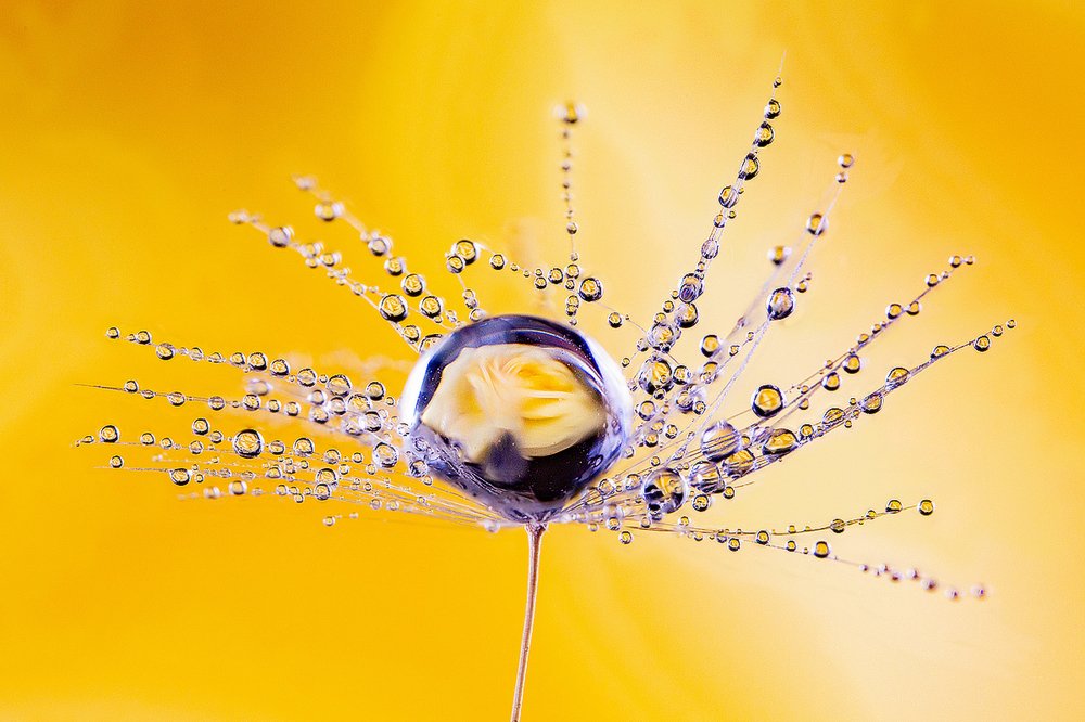 Photograph by Иван Радьков