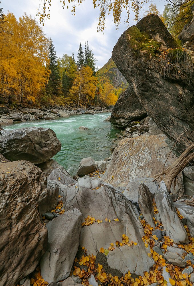 Photograph by Галина Ломако