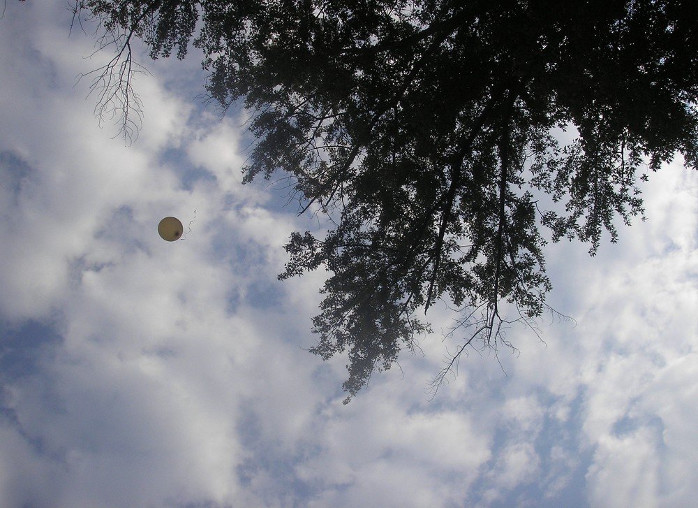 Photograph by Дмитрий Маслов