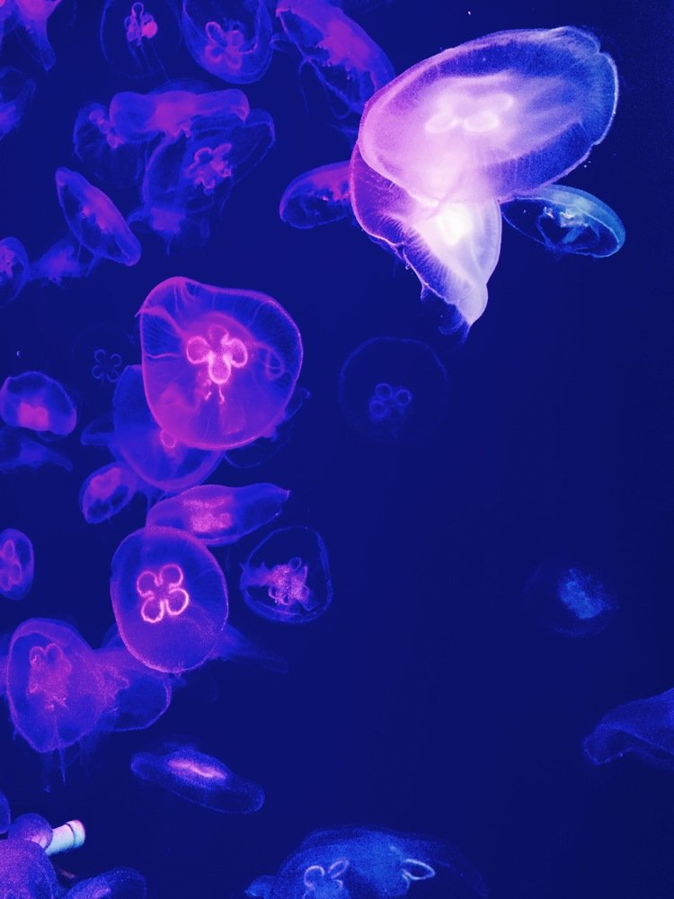 Photograph by Зарина Маснева