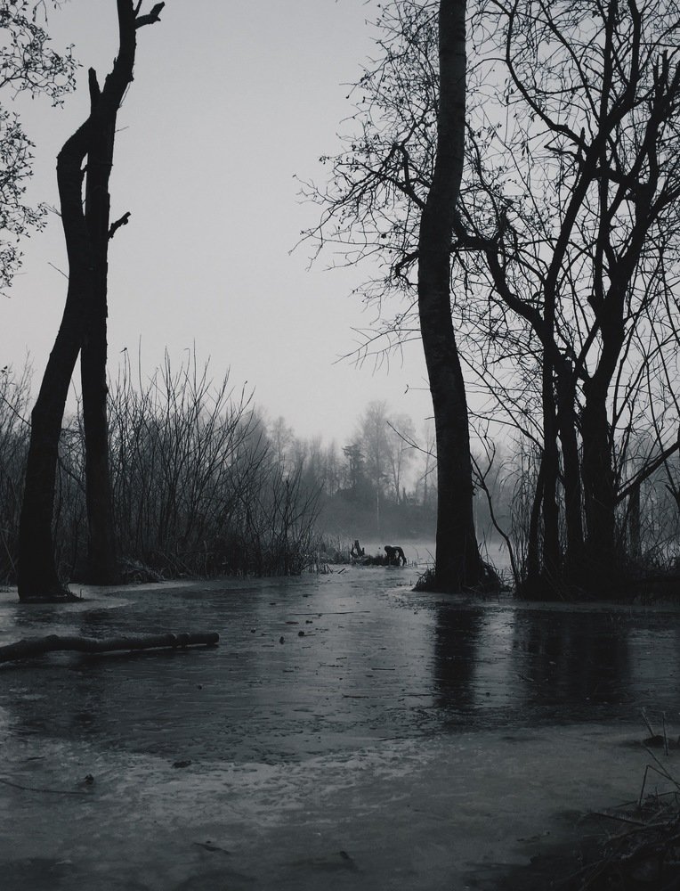 Photo #4322696