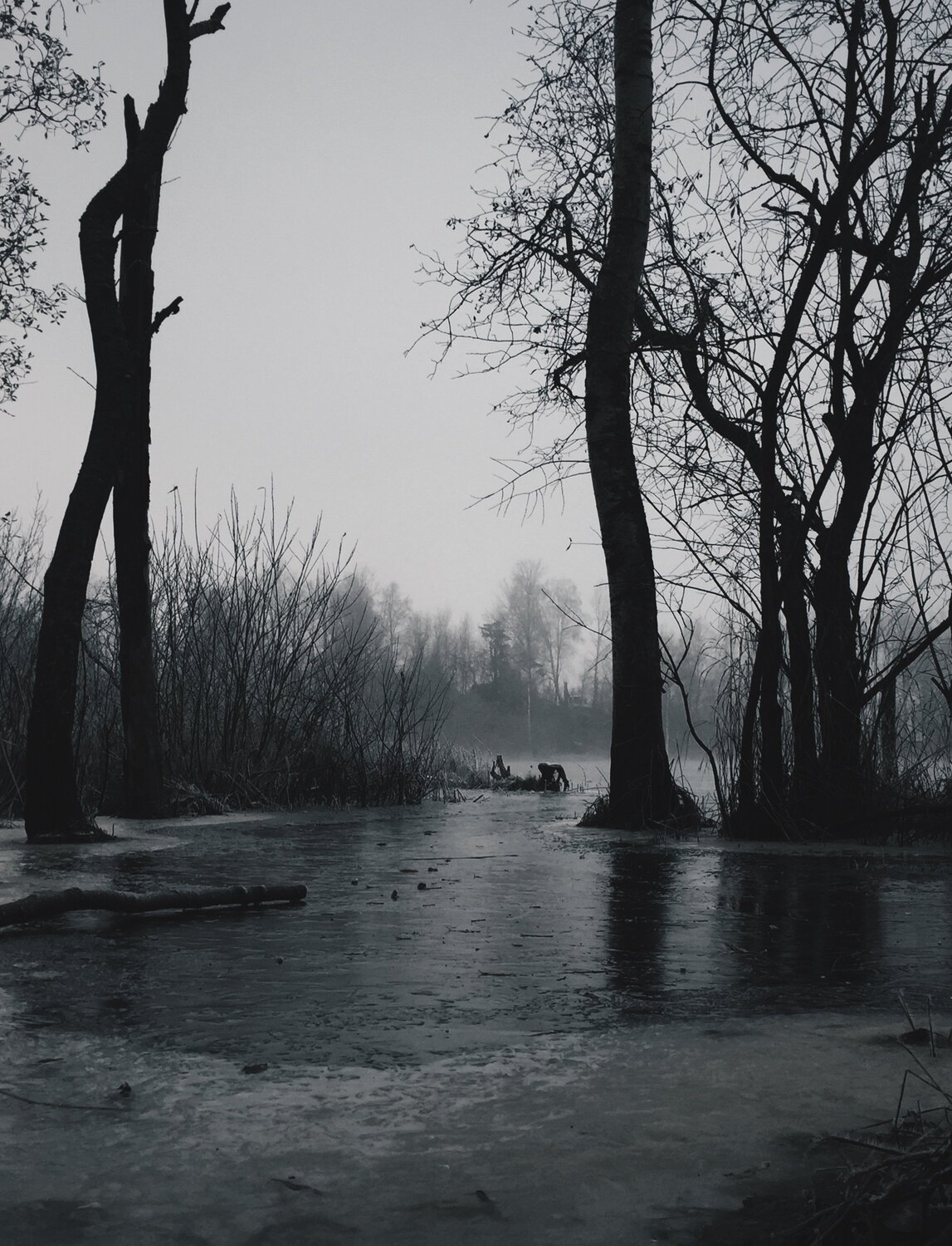 Photo #4322696