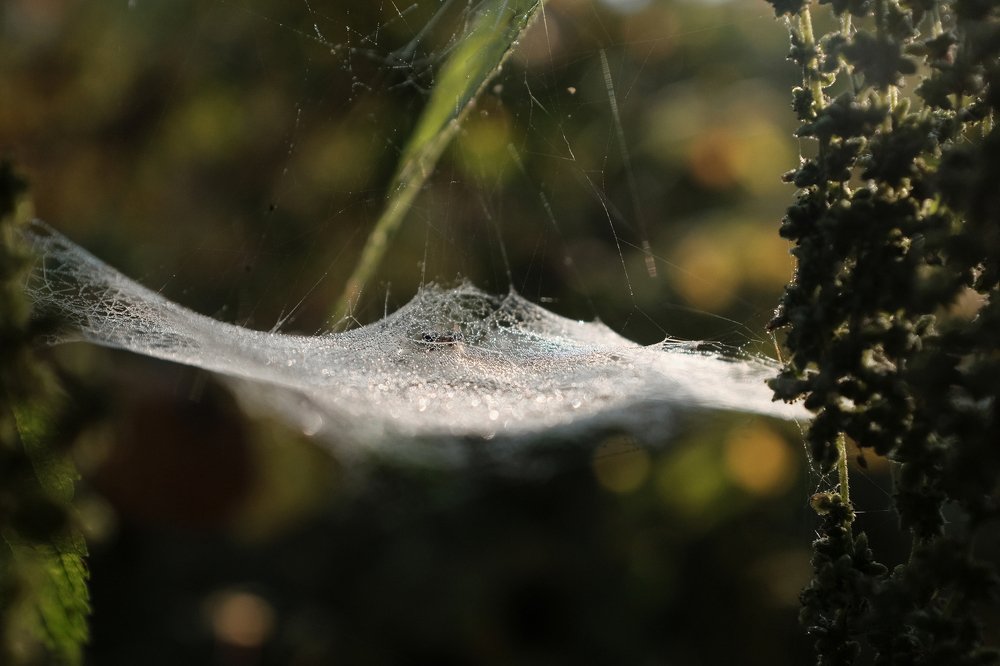 Инженерное сооружение