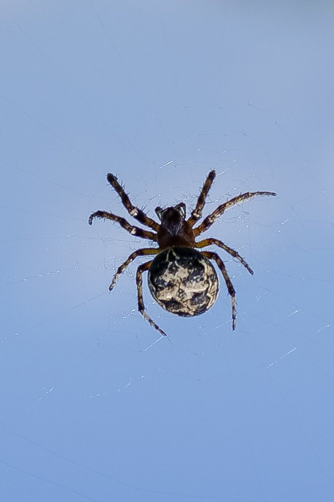 Photograph by Александр Щербаков