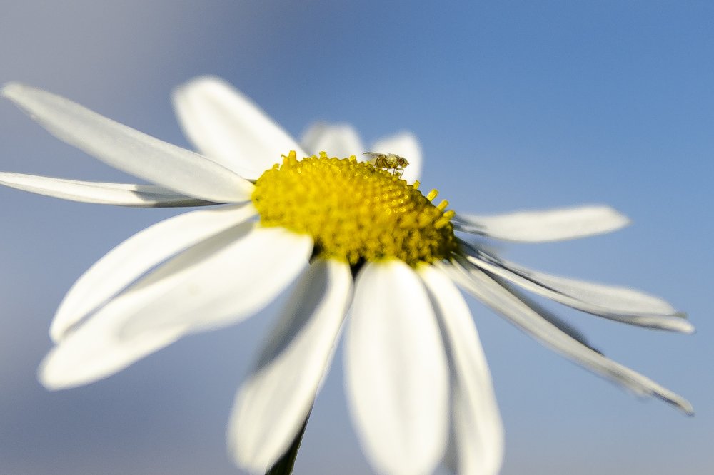 Photograph by Александр Щербаков