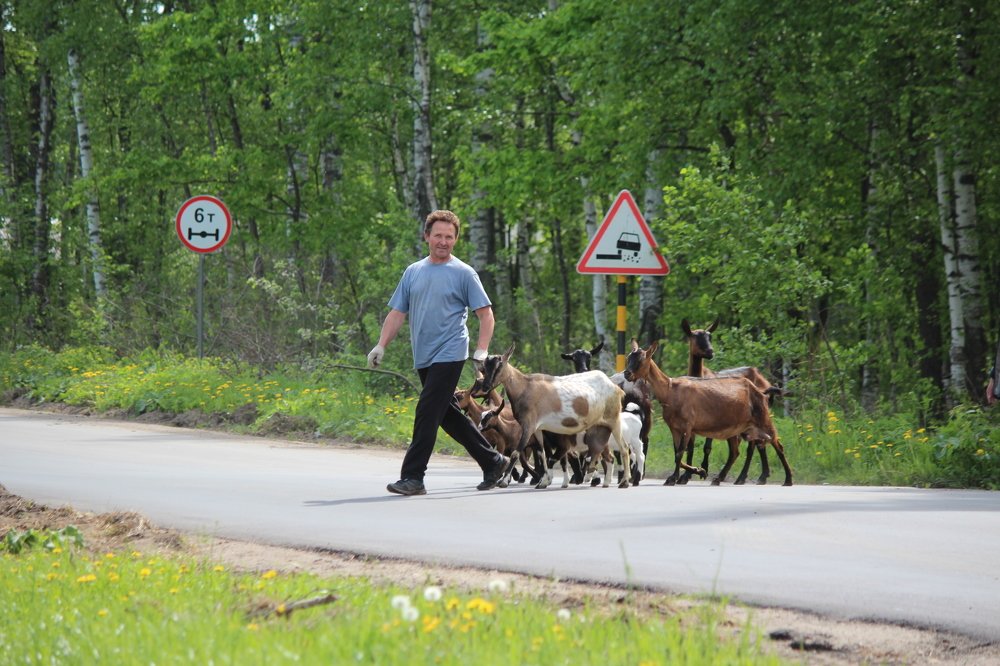 Photograph by Елена Верховская