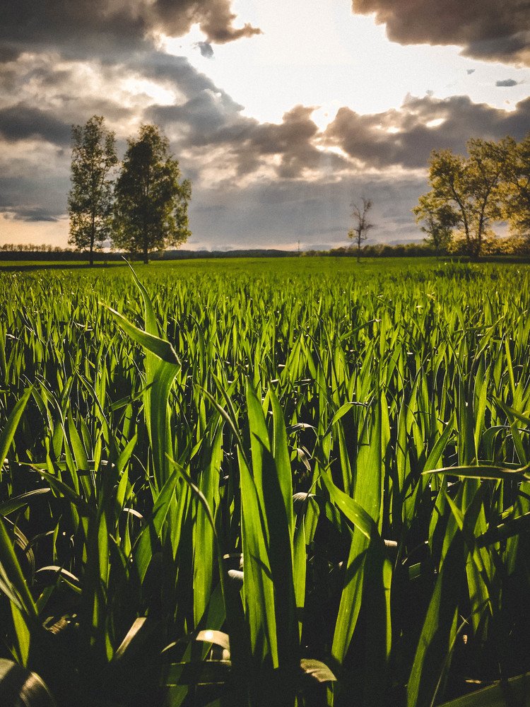 Photograph by Александр Арасланов