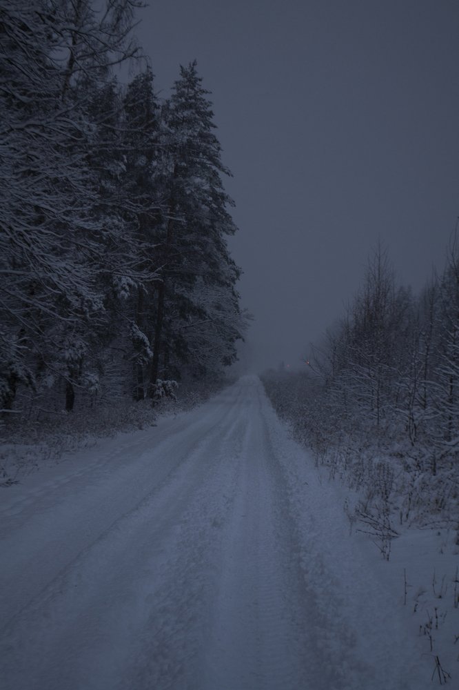 Photograph by Фёдор Бельских