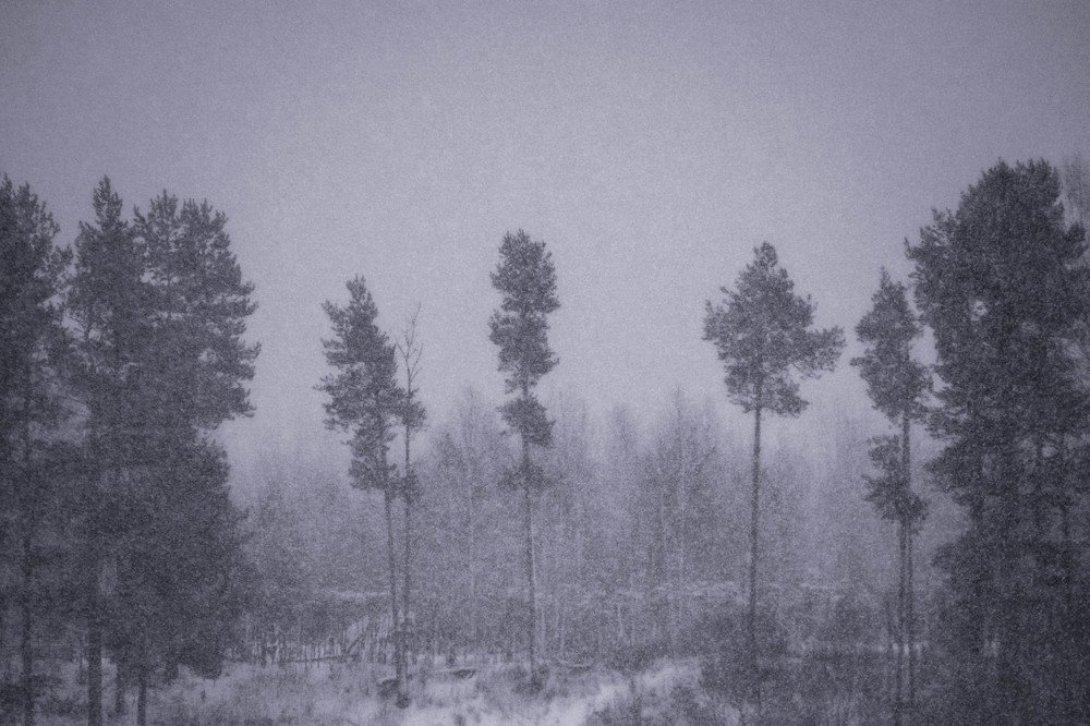 Photograph by Сергей Шмелев