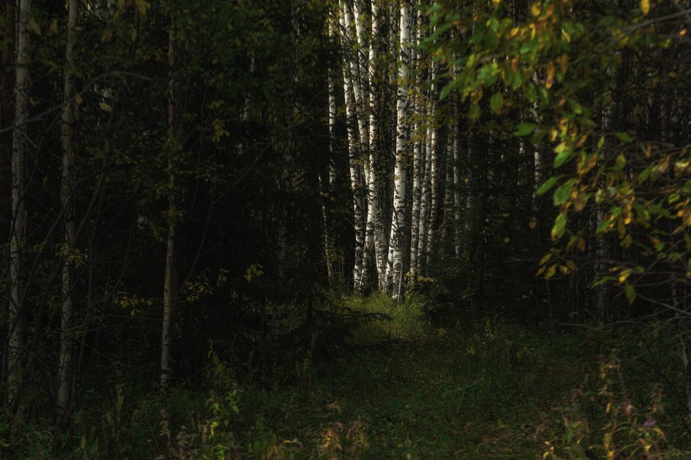 Photograph by Сергей Шмелев