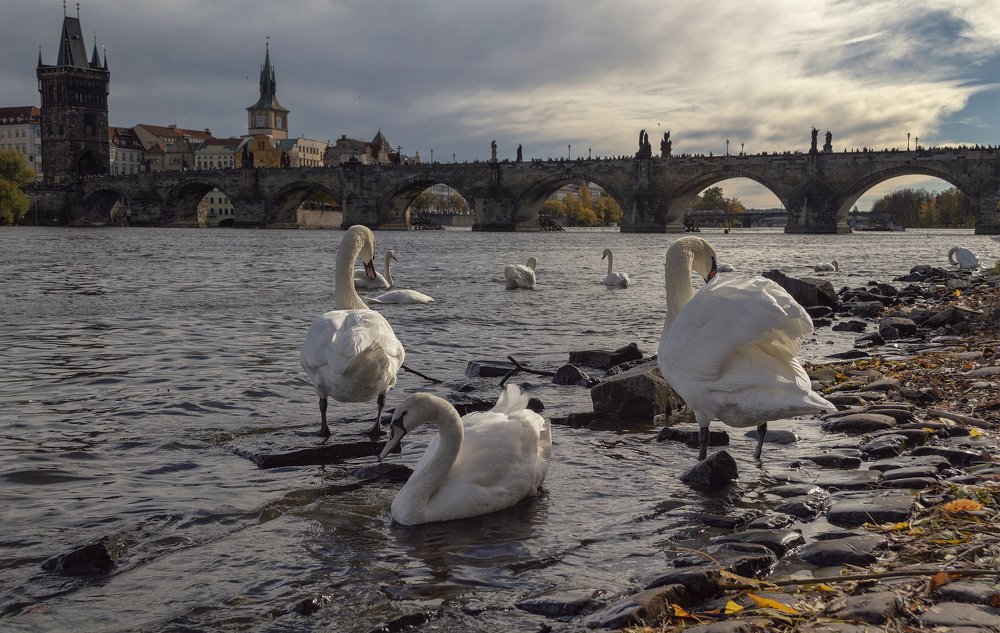 Прага , Чехия.