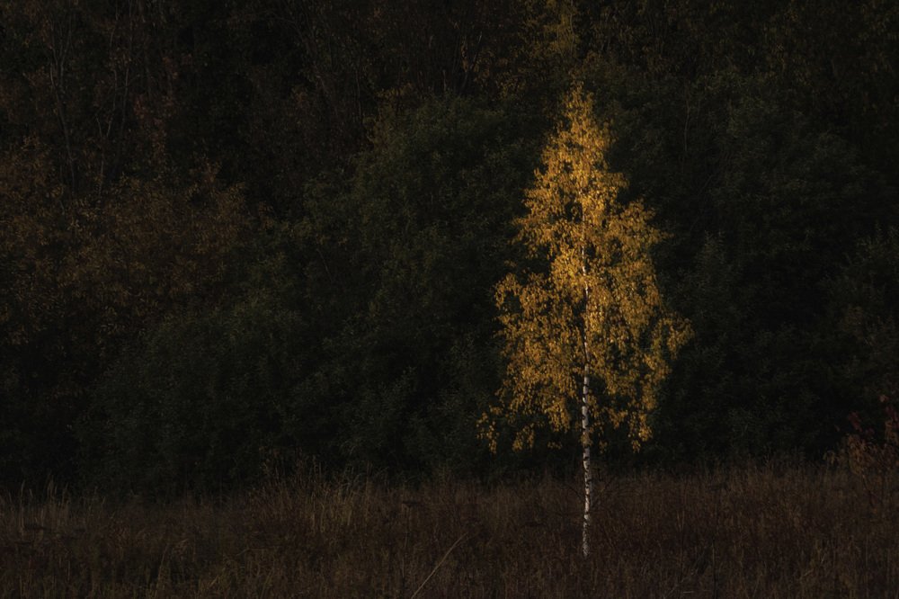 Photograph by Сергей Шмелев