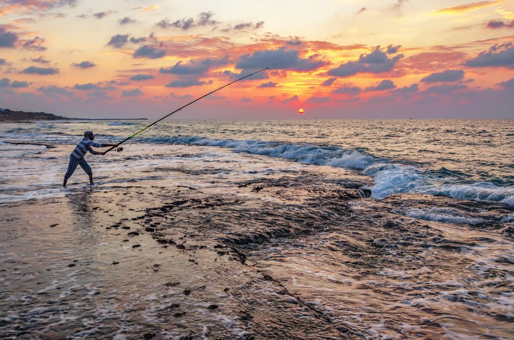 Photograph by Fathi Ibrahim