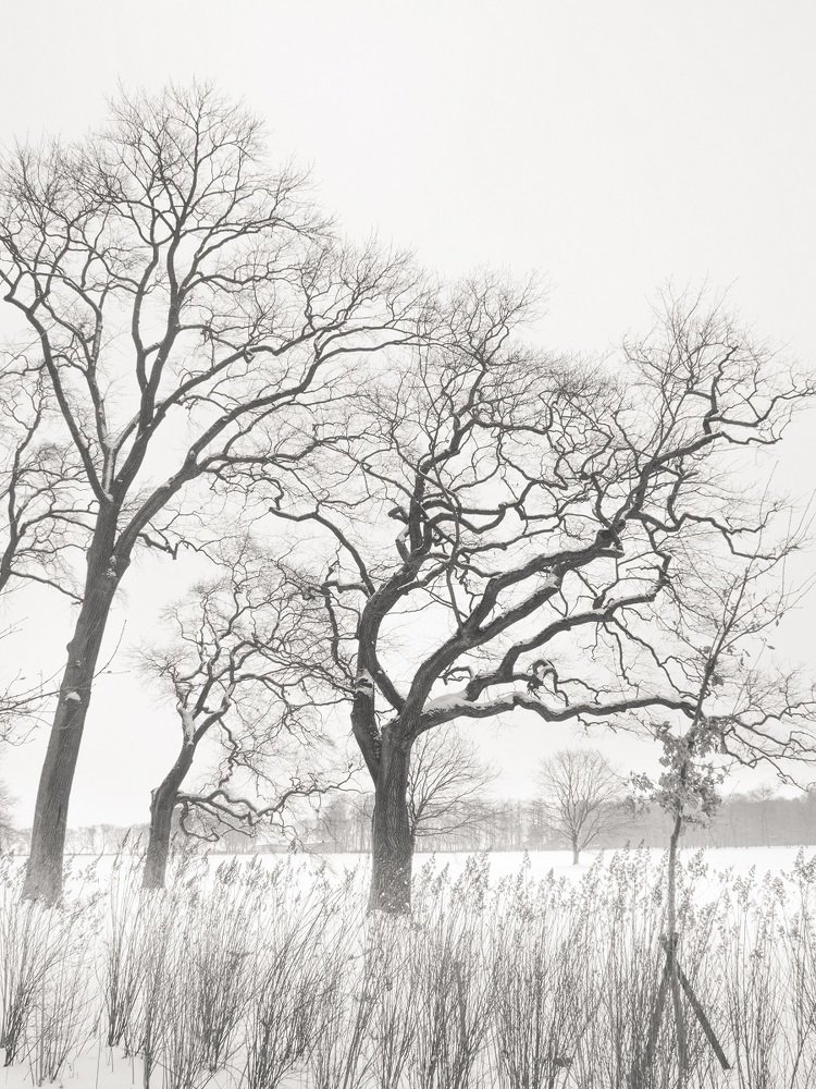 Photograph by Елена Курзина