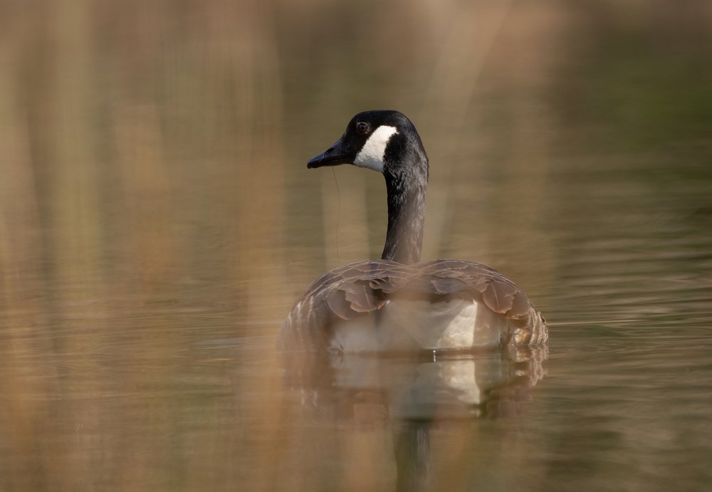 Фотография автора MARIA KULA