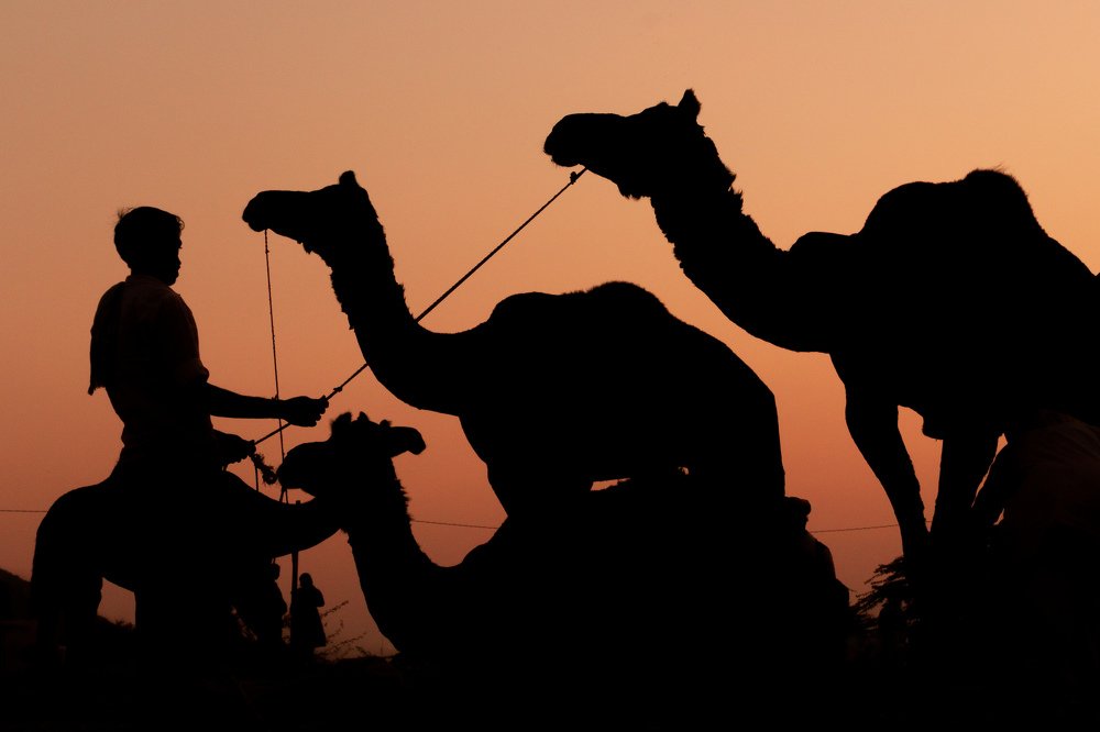 Photograph by Nimish Wadhwa