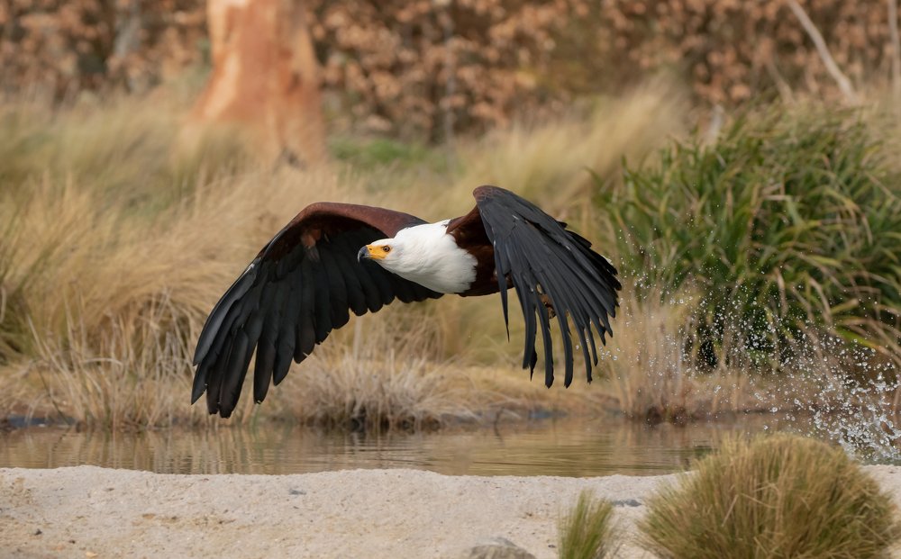 Фотография автора MARIA KULA