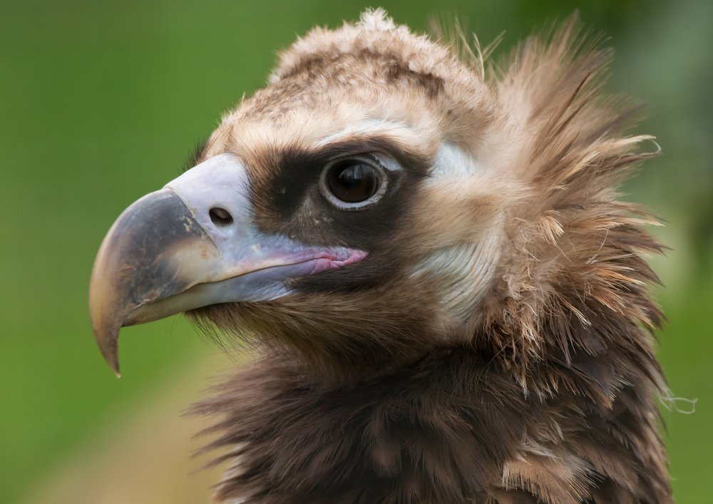 Фотография автора MARIA KULA