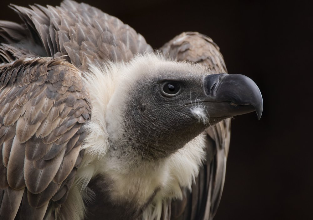 Фотография автора MARIA KULA