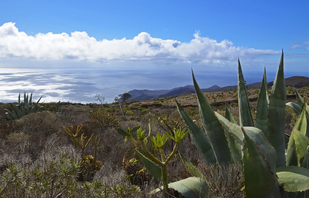El Hierro,Canary Islands,Spain.Hills covered by succulent plants.