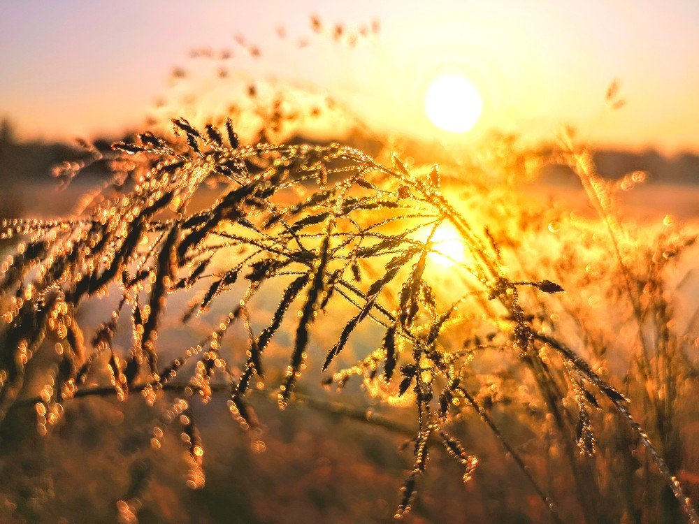 Photograph by 