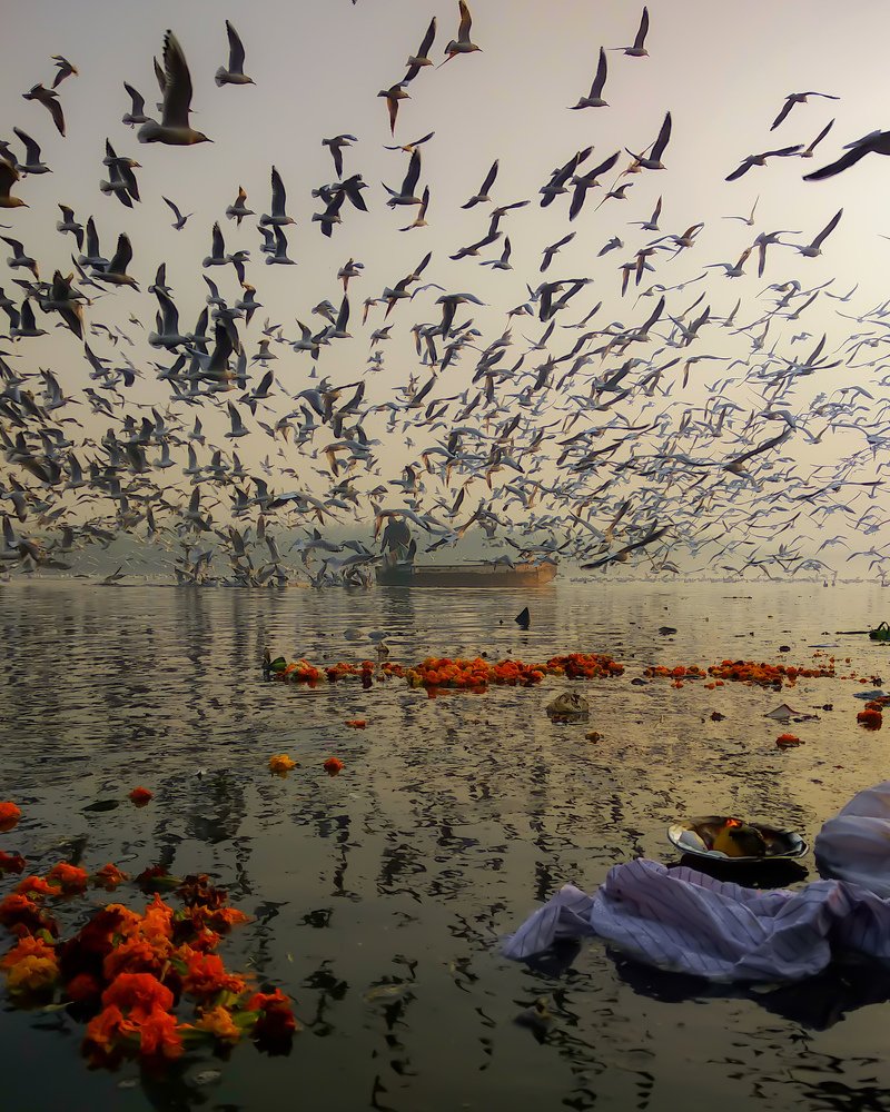 Photograph by Nimish Wadhwa