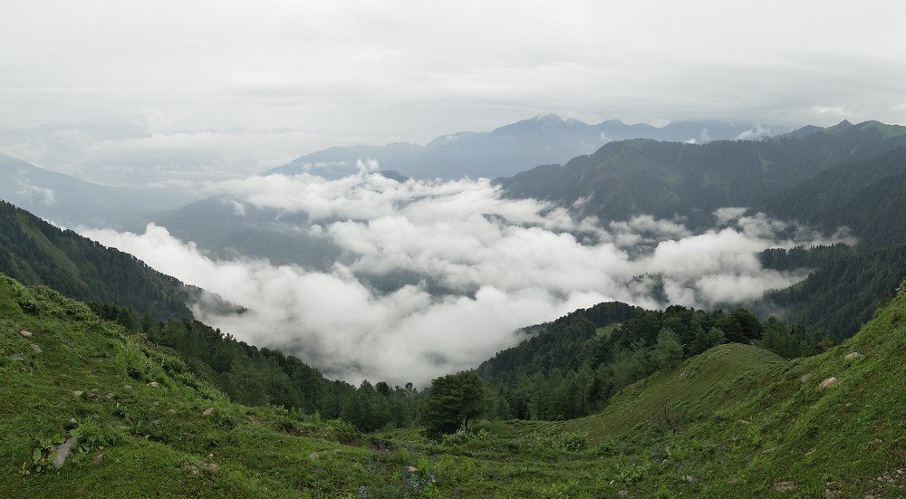 Photograph by Munish Mehra