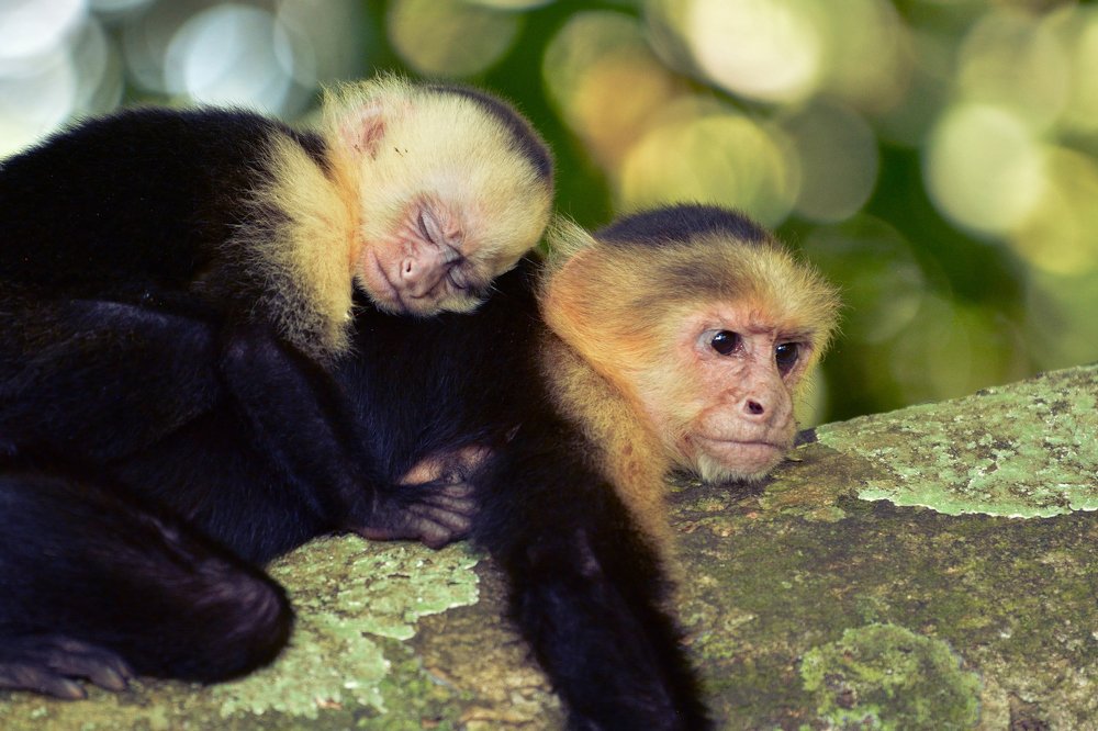A mother's thoughtful vision and child's peaceful nap