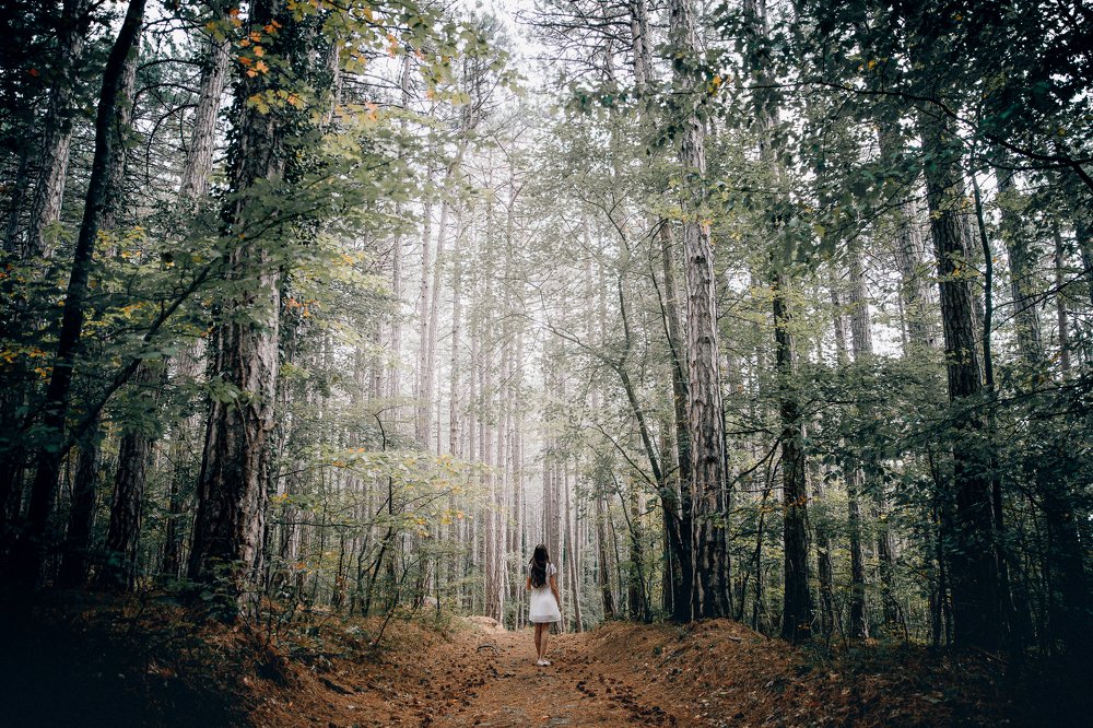 Photograph by Мария Раздорова