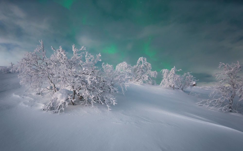 Photograph by Парамонов Григорий