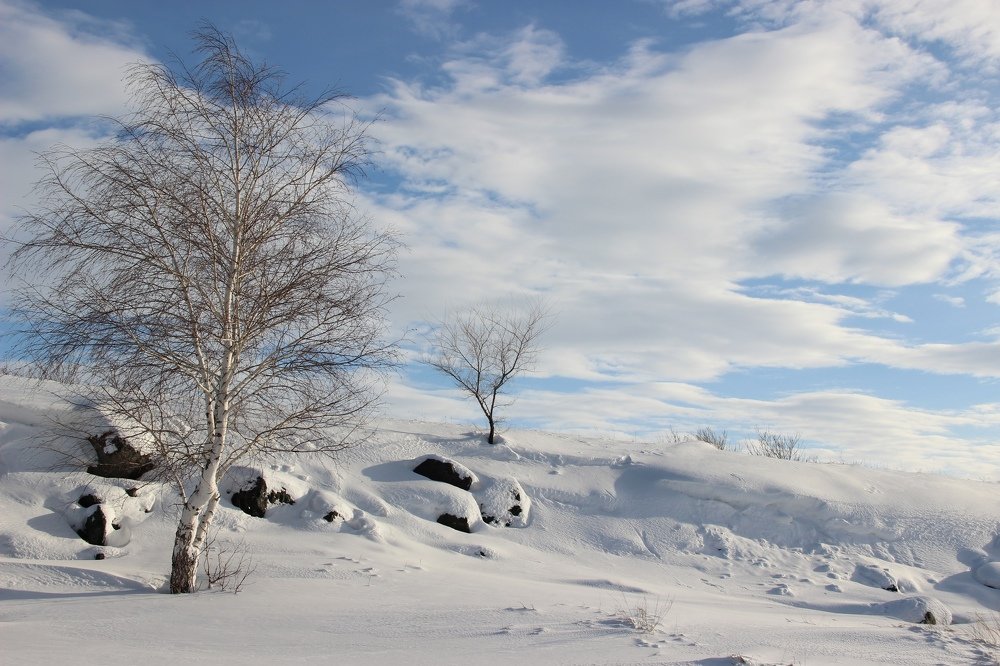Мороз и солнце