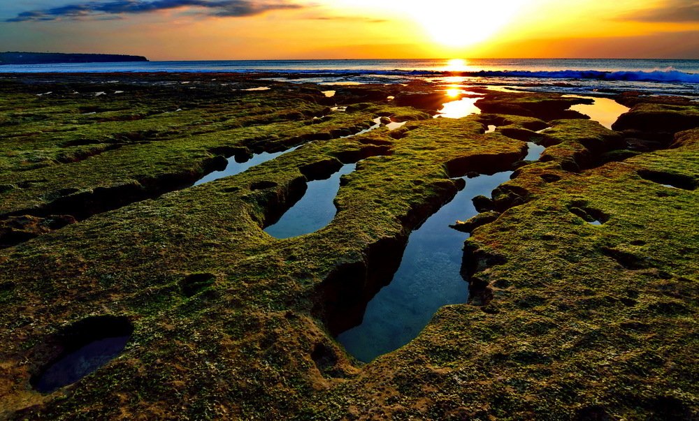 Photograph by KONSTANTIN MAXIMOV