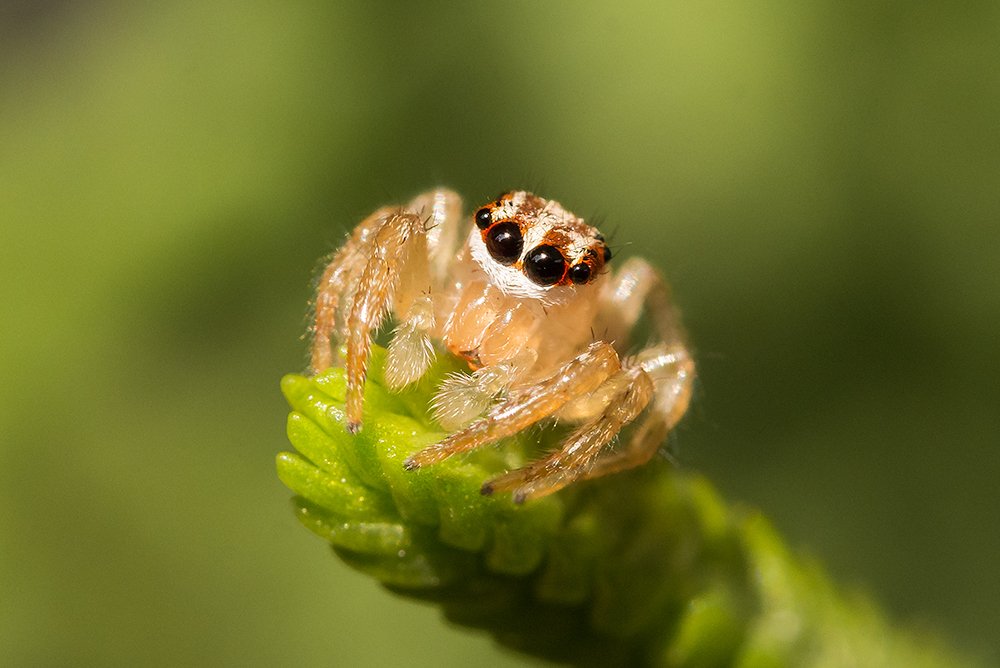 Photograph by Meire Rueda