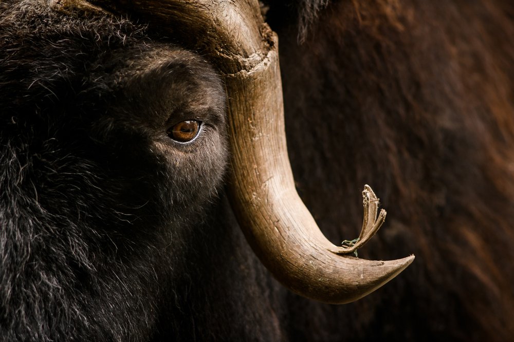 Photograph by Ольга Шацкая