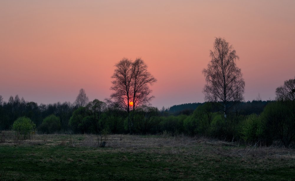 Фотография автора Ольга Бородина